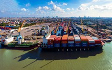 Hải Phòng - Căn hộ cao cấp cho thuê có còn đất sống?