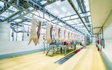 So găng doanh nghiệp nội và ngoại trong ngành chăn nuôi