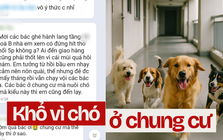 Khốn khổ vì hàng xóm yêu thú cưng "nửa mùa": Chất nặng mùi khiến cả chung cư khó thở nhưng tuyệt nhiên không ai nhận!
