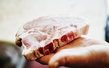 Mách bạn dấu hiệu nhận biết thịt lợn bệnh
