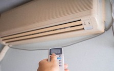 Bật điều hòa mùa hè: Người thông minh đặt 3 thứ này vào phòng, tôi hối hận vì giờ này mới biết