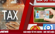 Sử dụng mã định danh cá nhân thay mã số thuế, người dân cần lưu ý gì? Sử dụng mã định danh cá nhân thay mã số thuế, người dân cần lưu ý gì?