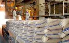Vì sao tiêu thụ xi măng giảm mạnh? Vì sao tiêu thụ xi măng giảm mạnh?