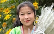 TikToker Việt lao đao