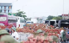 Đi chợ vải thiều Bắc Giang Đi chợ vải thiều Bắc Giang