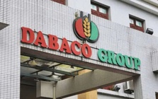 Dabaco ‘rót’ 190 tỷ đồng thành lập công ty chăn nuôi tại Quảng Trị
