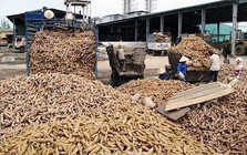 Hàng chục nghìn tấn hàng ùn ứ ở cửa khẩu: Bộ trưởng Thái Lan vừa nhấn mạnh điều gì?