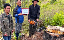 Chỉ đạo nóng của Chủ tịch UBND tỉnh Lâm Đồng Chỉ đạo nóng của Chủ tịch UBND tỉnh Lâm Đồng