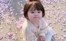EQ là yếu tố cốt lõi để trẻ thành công và hạnh phúc, bố mẹ có thể hỗ trợ con trở thành người biết yêu thương và làm chủ bản thân