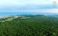 Hồ Tràm: Thủ phủ du lịch mới của TP.HCM và nhân tố mới Maia Resort Ho Tram