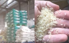 Đột kích nhà máy trong đêm, phanh phui công ty sản xuất gạo giả bán 1.000 tấn mỗi năm, tịch thu 15.750kg gạo chất thành đống