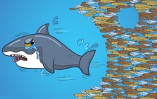 Không chỉ nhà đầu tư cá nhân, loạt quỹ ngoại tên tuổi cũng thua VN-Index