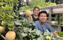Từ tay mơ đến bà chủ vườn chỉ sau 2 tháng: Mẹ trẻ bật mí 4 kinh nghiệm trồng rau sân thượng trĩu quả khiến ai cũng bất ngờ vì “quá dễ”