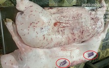 Chi tiết lạ trên heo bệnh tại cơ sở gia công cho C.P. Việt Nam: Nhân viên giải thích thế nào?