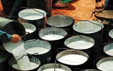 Hàng nghìn tấn 'vàng trắng' của Việt Nam đổ bộ Mỹ với giá đắt đỏ, thuế nhập khẩu 7%