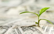 Những cơ hội và rào cản đối với Việt Nam trong phát triển hệ sinh thái tài chính bền vững