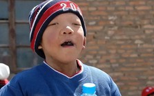 Nghiên cứu ĐH Harvard đối với 10.000 trẻ: Ai sinh 3 THÁNG này thường có chỉ số IQ vượt trội, lớn lên lanh lợi, thông minh!