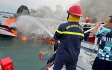 Cháy tàu cao tốc tuyến Vân Đồn - Quan Lạn, 5 thuyền viên nhảy xuống biển