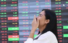 "Cầu vồng sau cơn bão": Loạt công ty chứng khoán, chuyên gia đồng thuận dự báo VN-Index có thể lên mốc 1.500 điểm