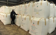 Lào đưa sang Việt Nam hàng trăm nghìn tấn hàng quan trọng: thuế nhập khẩu 0%, nước ta tiêu thụ hơn 10 triệu tấn/năm