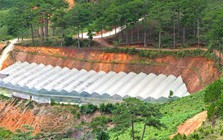 San gạt đất, làm nhà kính lan rộng những đồi thông ở cửa ngõ Đà Lạt