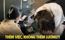 Mắc kẹt với mức lương 15 triệu, việc ngày càng nhiều nhưng lương thì đứng yên: Tôi có đang đòi hỏi quá nhiều?