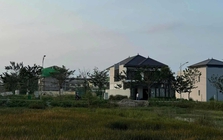 Mua đất quê 1.200m2 từ thời giá chỉ 500.000 đồng, người phụ nữ vui mừng: Vừa rao bán 6,5 tỷ đồng đã có người mua ngay