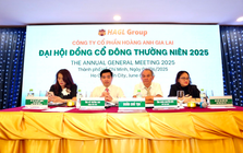 Ứng viên được nhóm Thaigroup và LPBS để cử vào HĐQT Hoàng Anh Gia Lai đã rút hồ sơ, không có mặt tại Đại hội