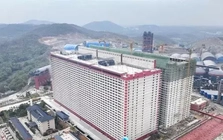 Đề xuất xây 'chung cư' cho... lợn