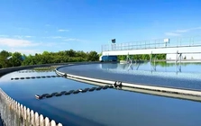 Chuyển đổi xanh: 'Nếu không đạt chuẩn, doanh nghiệp sẽ bị loại khỏi sân chơi'