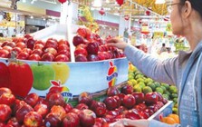 Nông sản Mỹ nhập khẩu vào Việt Nam tăng mạnh