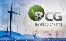 Bamboo Capital bổ nhiệm nhân sự 30 tuổi phụ trách quản trị