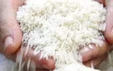 Gạo Ấn Độ rớt giá sâu, Việt Nam đứng vững