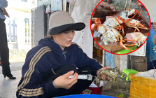 Cận cảnh người phụ nữ trực tiếp bơm thạch rau câu vào tôm hùm đã chết để bán ra thị trường