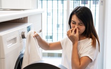 4 sai lầm khi phơi quần áo tưởng không hại mà hại không tưởng: Nhiều gia đình ngày nào cũng làm
