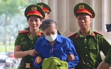 Cựu Bí thư Tỉnh ủy Hoàng Thị Thúy Lan bị tuyên phạt 14 năm tù, Chủ tịch Tập đoàn Phúc Sơn 30 năm tù