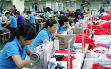 Tất cả lao động từ 16 tuổi đều được 'định danh' trong dữ liệu quốc gia
