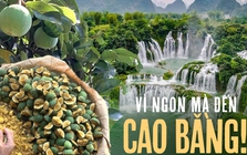 Thức quà mùa hè từ núi rừng chỉ có thể thưởng thức khi đến Cao Bằng