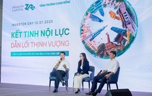 Sếp Dragon Capital 'chọn hàng' những DN được giao phó sứ mệnh quốc gia: Vingroup, Techcombank, Hoà Phát, FPT