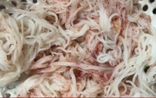 Vì sao bún chuyển sang màu đỏ bất thường sau vài giờ mua ở chợ Đà Nẵng?