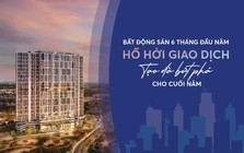 BHS R&D: Chung cư giao dịch sôi động nửa đầu 2025, đất nền tỉnh lẻ lên ngôi cuối năm