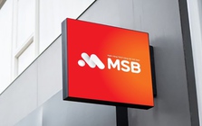 MSB công bố khung tài chính bền vững MSB công bố khung tài chính bền vững