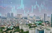 Cổ phiếu bất động sản tiếp tục nổi sóng, CEO, DIG, Novaland là tâm điểm, một DN đã tăng trần liên tiếp 11 phiên