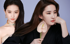 37 tuổi, Lưu Diệc Phi rũ bỏ hình tượng “thần tiên tỷ tỷ”, bước vào vai diễn gai góc nhất sự nghiệp