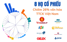 8 'gia tộc' đang nắm giữ 2,1 triệu tỷ đồng, 'chi phối' 1/4 thị trường chứng khoán Việt Nam