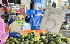 Trái cây 'đại hạ giá', có loại chỉ 5.000 đồng/kg ở TPHCM