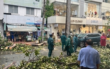 Trưa nay, gió lớn ở TP HCM, cây xanh ngã đổ nhiều nơi