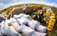 Giá gạo xuất khẩu giảm!