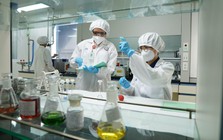 Imexpharm công bố kết quả tài chính 6 tháng đầu năm: EBITDA tăng 21%
