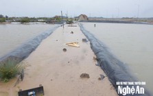 Nghệ An: Lưu lượng lũ về hồ Bản Vẽ với tần suất 5.000 năm mới xảy ra 1 lần